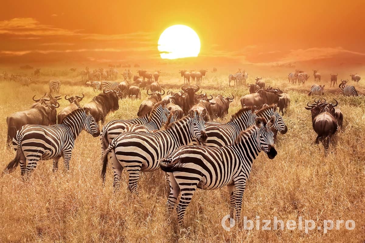 Фотография 2: Танзания Занзибар туры цена