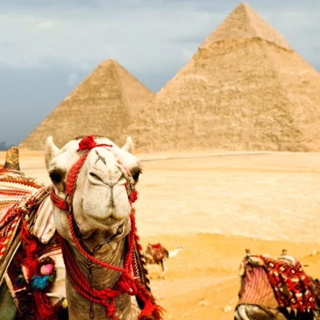 Фотография 3: Египет Шарм эль Шейх горящие туры