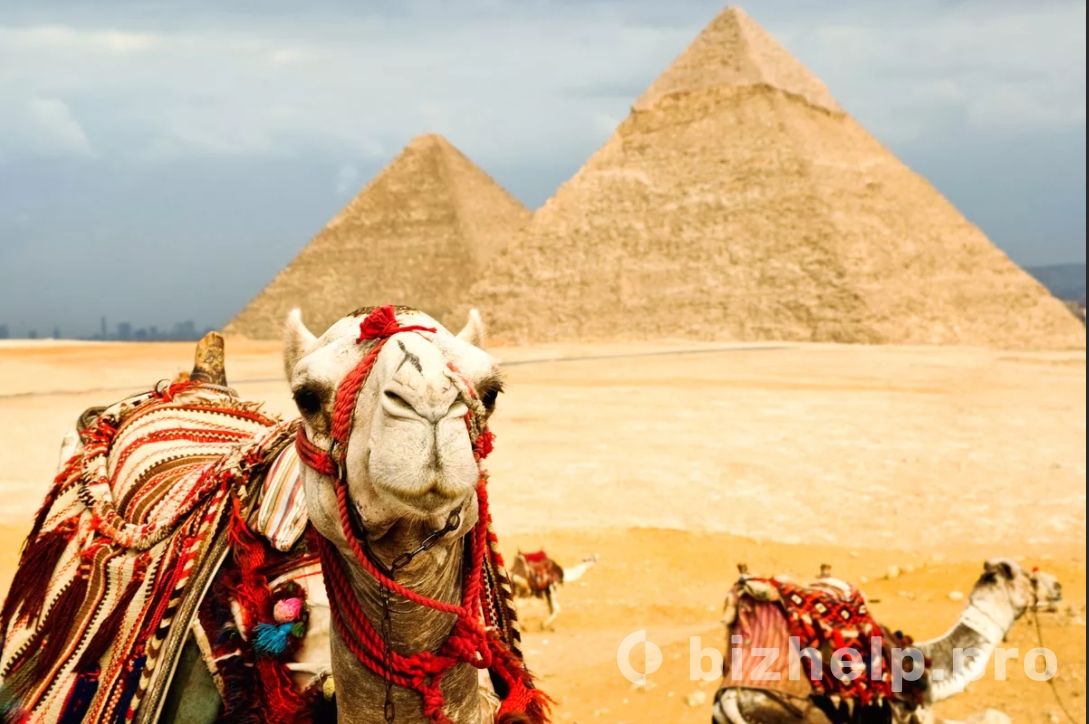 Фотография 4: Египет Шарм эль Шейх горящие туры