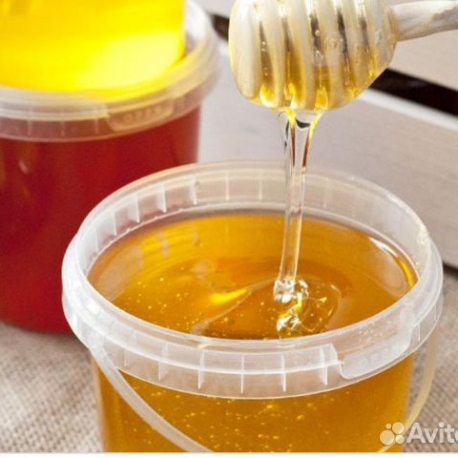 Фотография 1: Мед и пчелопролукты с Алтайского края