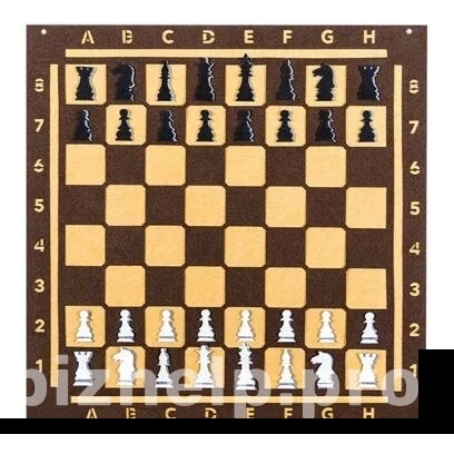 Фотография 1: Игра-пособие для детей 3+ "Шахматы"